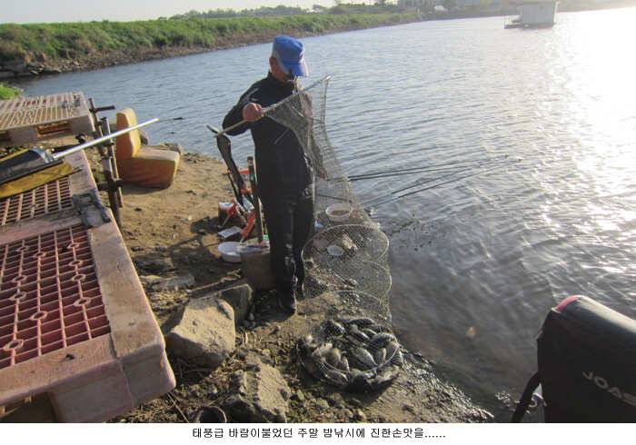 태풍급 바람속에 올라온 붕어 (유료터정보 - 유료터점주조황)