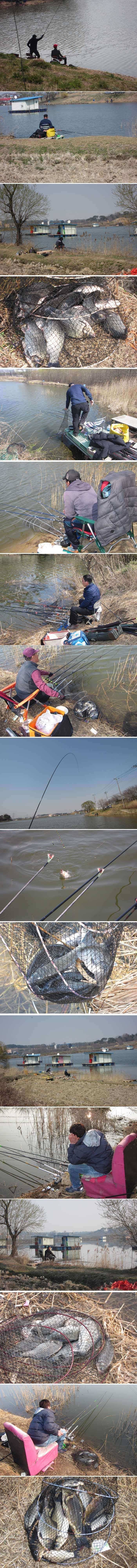 ●봄이왔어요신봉지 슬슬 산란시작합니다● (유료터정보 - 유료터점주조황)