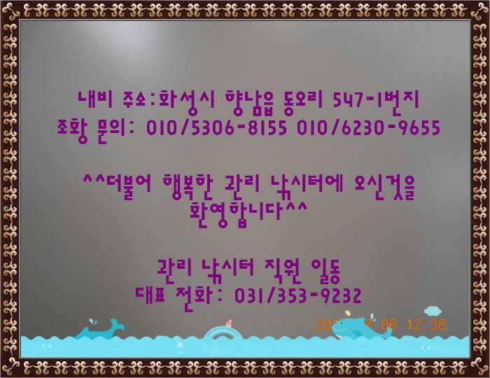 도심속의 작은 쉼터 화성 관리 낚시터입니다 (유료터정보 - 유료터점주조황)