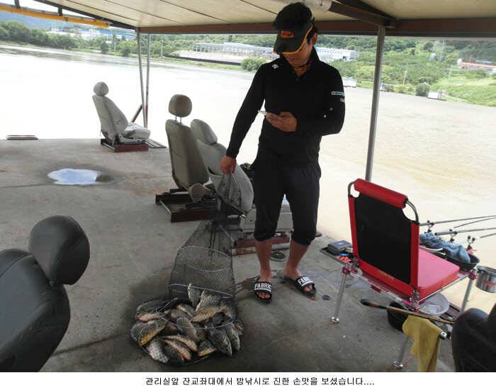 비 그치니 나오네요 (유료터정보 - 유료터점주조황)