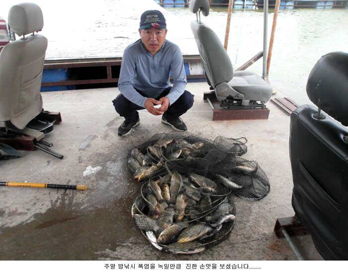 금년들어 최고의 조황입니다 (유료터정보 - 유료터점주조황)