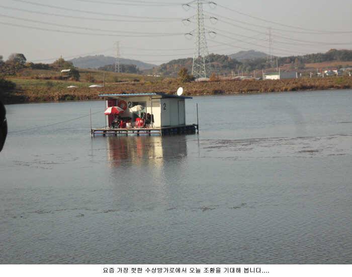 11월 첮 주말을 기대하면서 (유료터정보 - 유료터점주조황)