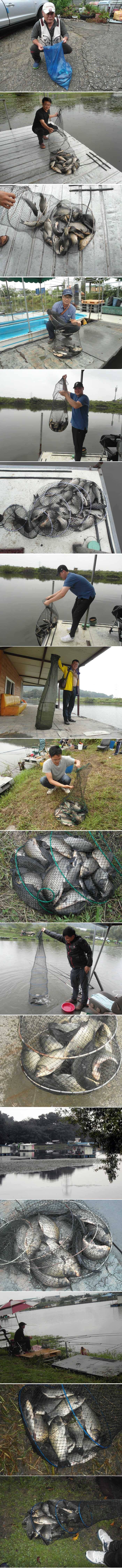 예상대로 주말조황 짱 이었습니다 (유료터정보 - 유료터점주조황)