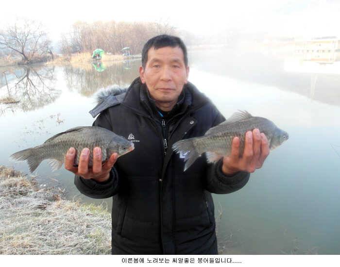 신봉지의 주말 조황입니다 (유료터정보 - 유료터점주조황)