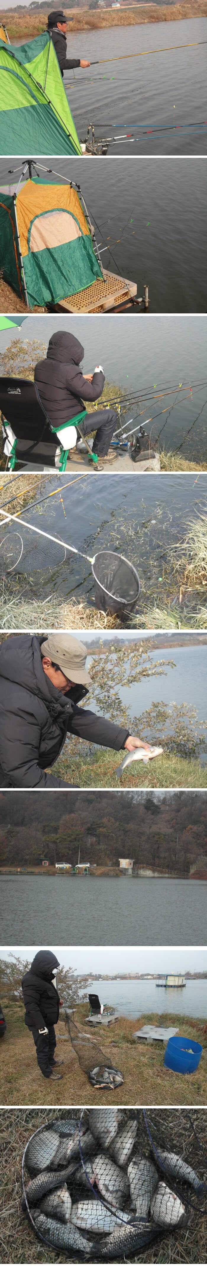 겨울 붕어의 손맛 신봉지 11월 4째주 조황정보 (유료터정보 - 유료터점주조황)