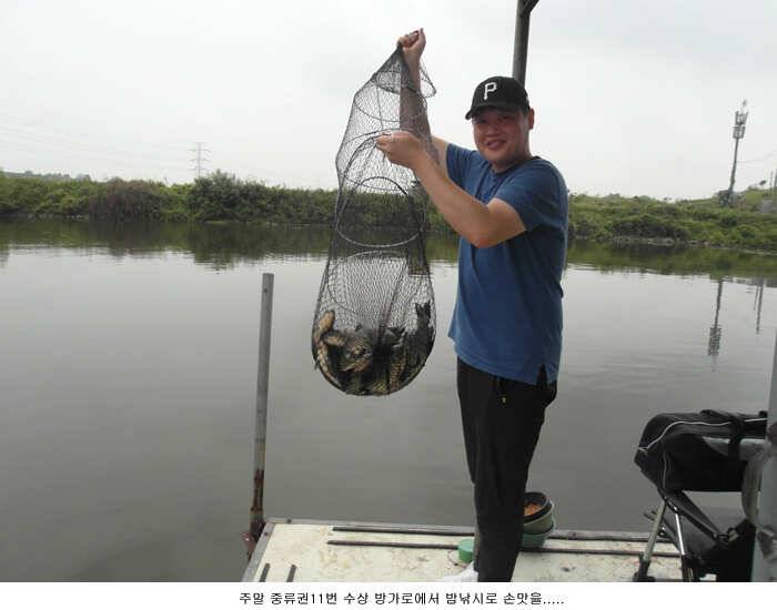 예상대로 주말조황 짱 이었습니다 (유료터정보 - 유료터점주조황)