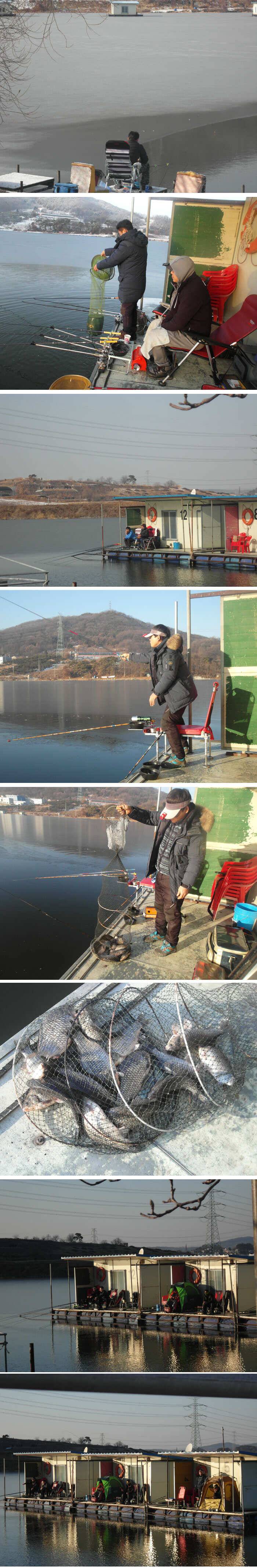 쌀쌀한 날씨속에 올라오는 붕어 (유료터정보 - 유료터점주조황)