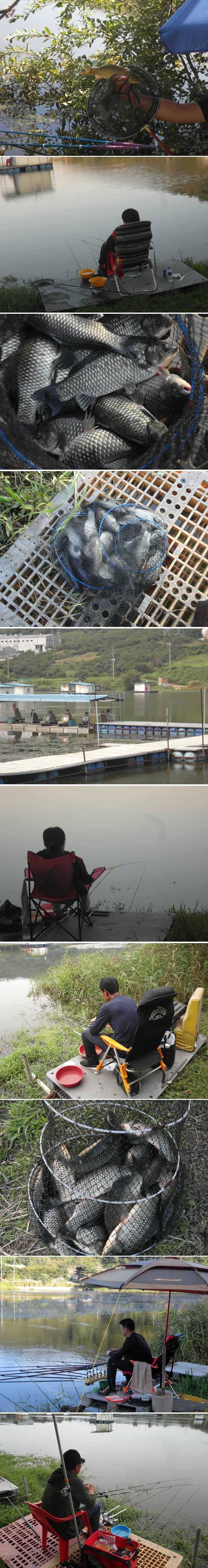 명절낚시는 신봉지에서 (유료터정보 - 유료터점주조황)