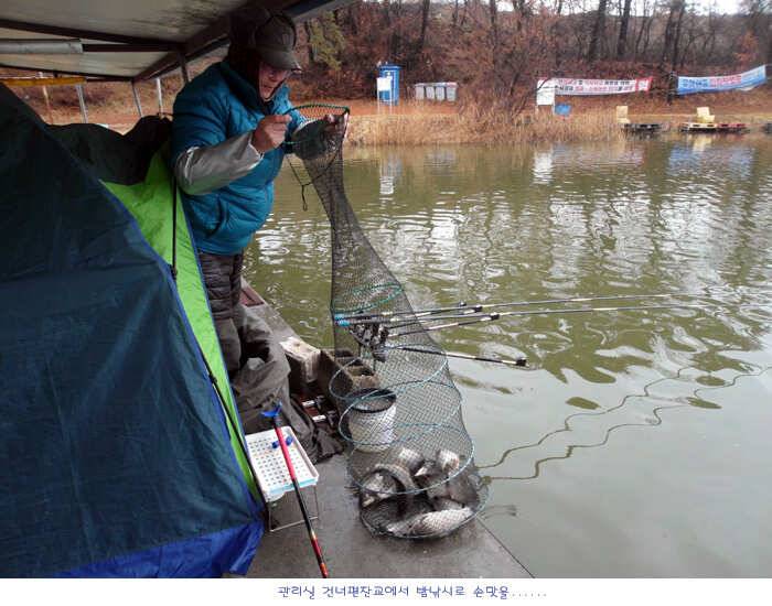 오늘아침 조황입니다 (유료터정보 - 유료터점주조황)