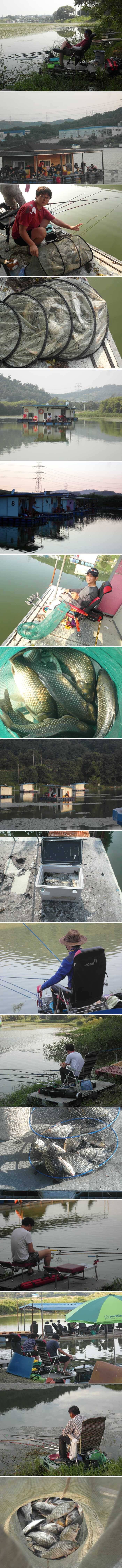 욕나오는 주말이었습니다 (유료터정보 - 유료터점주조황)