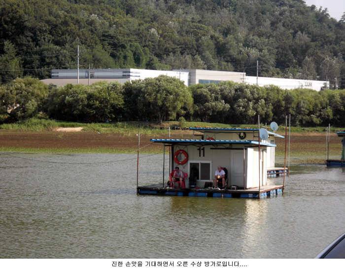 35도 정도는 (유료터정보 - 유료터점주조황)