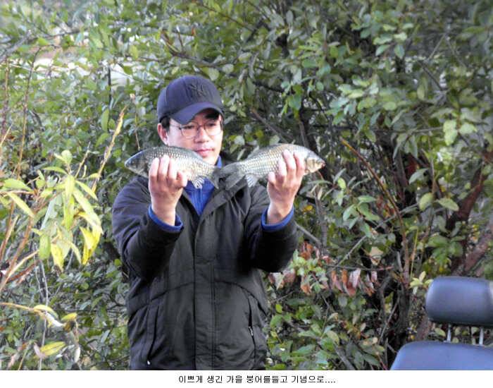얼얼한 추위속에서도 나오고있습니다 (유료터정보 - 유료터점주조황)