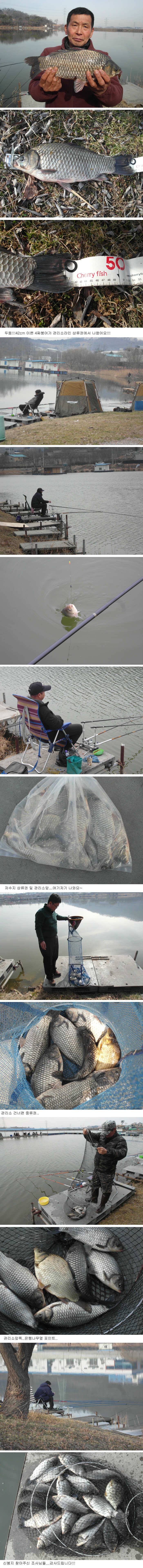 오랜만에 4짜붕어와 함께한 주말조황정보 (유료터정보 - 유료터점주조황)