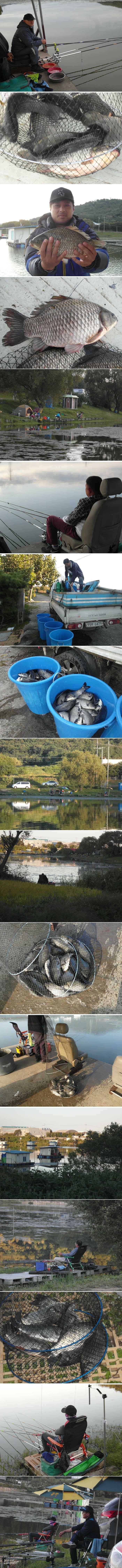 9월을 이런조황으로 마감합니다 (유료터정보 - 유료터점주조황)