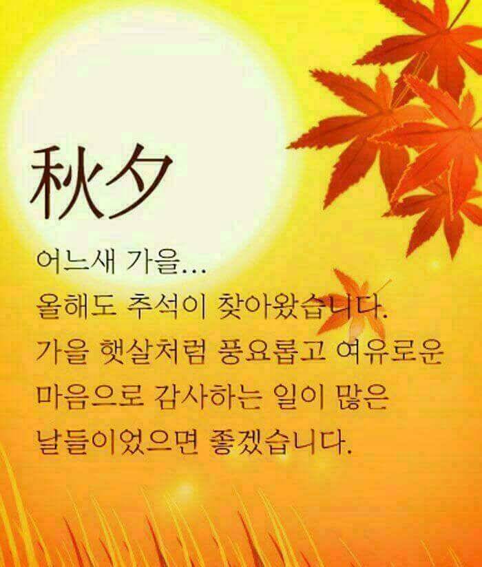 경기도 포천 쌍방죽낚시터 가을 붕어 소식 (유료터정보 - 유료터점주조황)