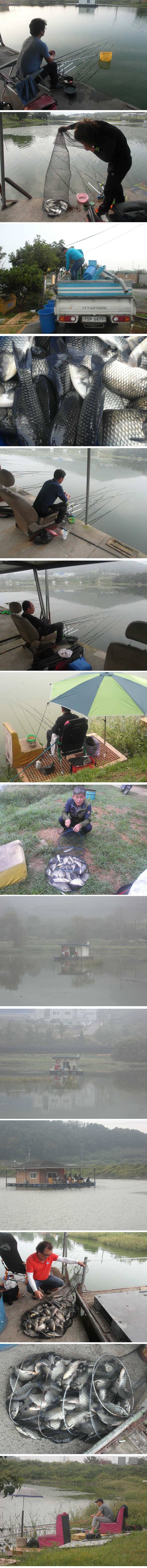 신봉낚시터낚시하기 딱좋은날씨손맛보세요 (유료터정보 - 유료터점주조황)