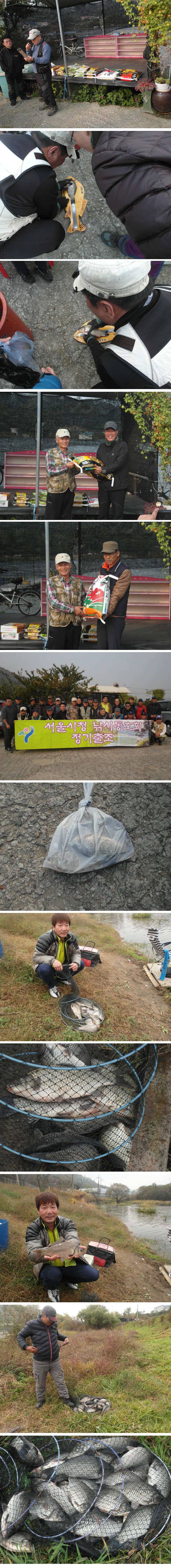 10월 마지막 주말 신봉지 조황정보 (유료터정보 - 유료터점주조황)