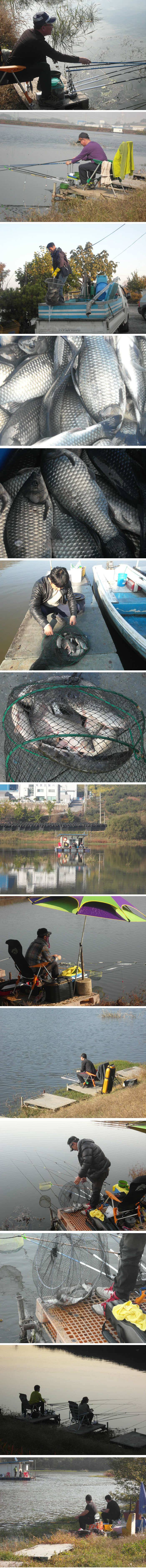 10월 마지막 주말 신봉지 조황정보 (유료터정보 - 유료터점주조황)