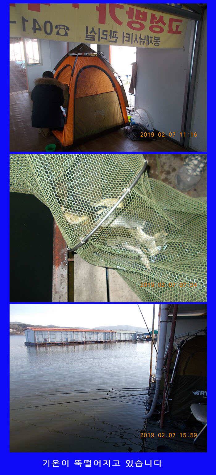 fish_pay_999dd_072911_48833.jpg