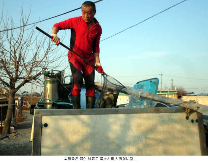붕어방류로 물낚시 시작합니다 (유료터정보 - 유료터점주조황)