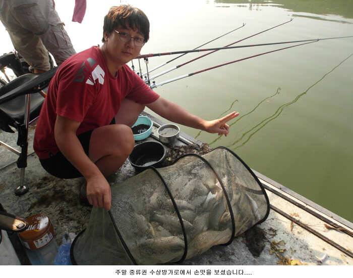 욕나오는 주말이었습니다 (유료터정보 - 유료터점주조황)