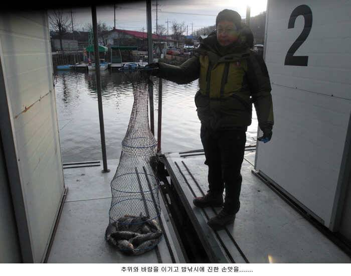 추위와 바람속에 올라온 붕어입니다 (유료터정보 - 유료터점주조황)