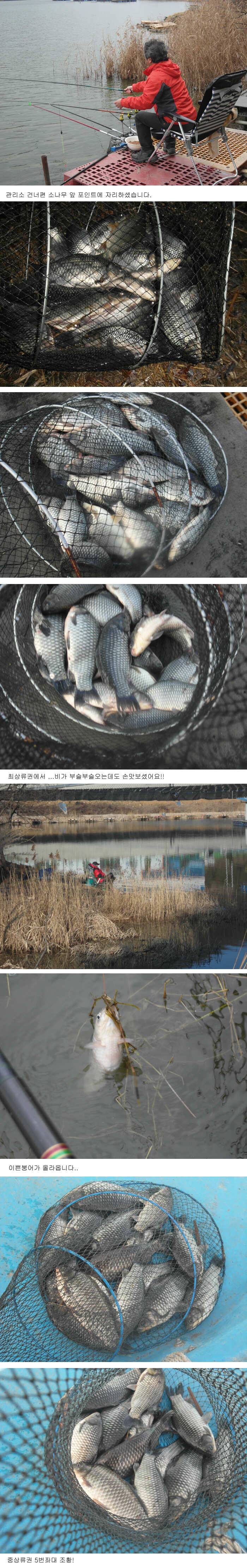 fish_pay_aab0d_101848_62087.jpg