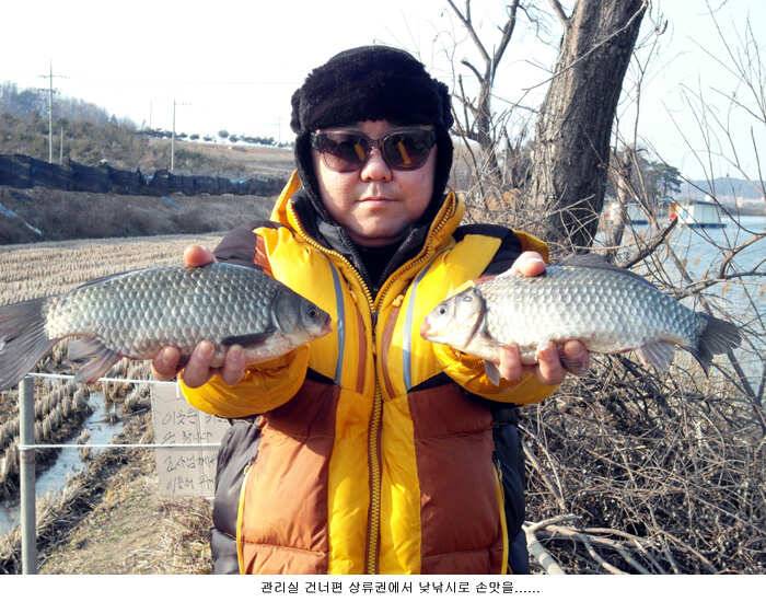 살아나기 시작합니다 (유료터정보 - 유료터점주조황)