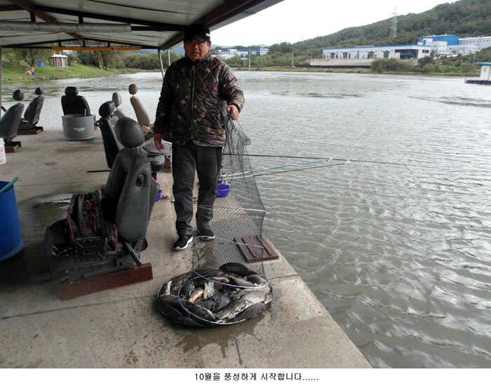 통통하게 살찐 붕어가 (유료터정보 - 유료터점주조황)