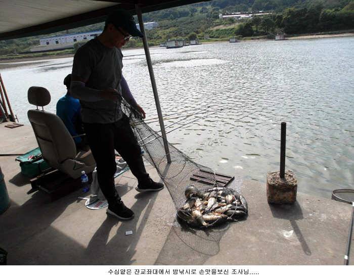요즘 신봉지는 붕어가 풍년입니다 (유료터정보 - 유료터점주조황)