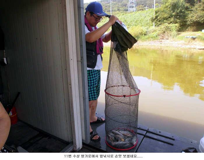 죽을것만 같은 더위속에서도 (유료터정보 - 유료터점주조황)