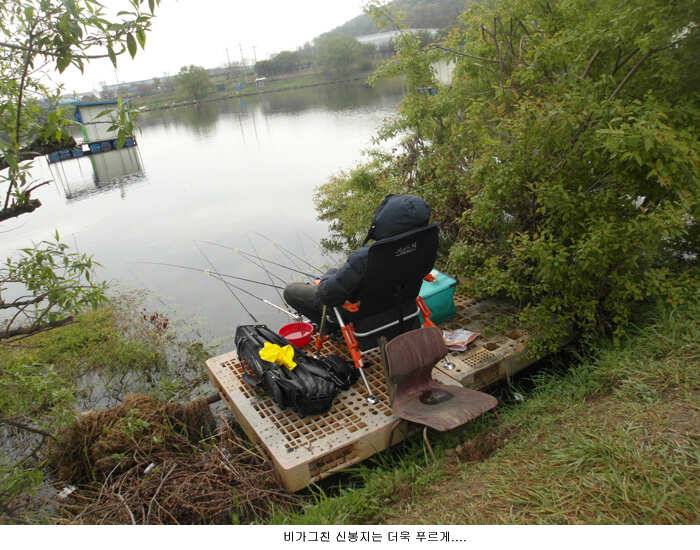 비 그친 신봉지는 (유료터정보 - 유료터점주조황)