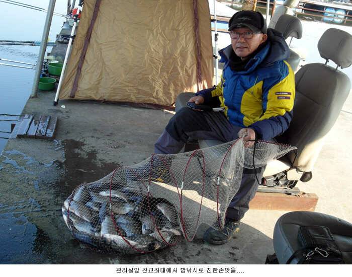 오늘은 이런조황이 (유료터정보 - 유료터점주조황)