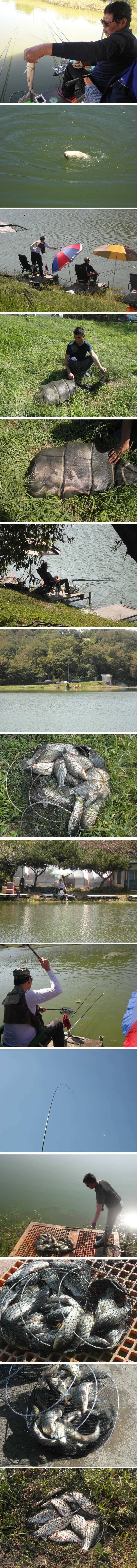 신봉지낚시하기 끝내주는 날씨손맛보세요 (유료터정보 - 유료터점주조황)