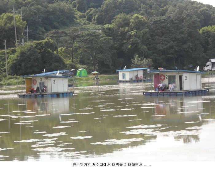주말 징크스인가요 (유료터정보 - 유료터점주조황)