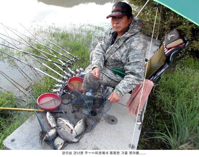 통통한 씨알의 가을 붕어가 (유료터정보 - 유료터점주조황)
