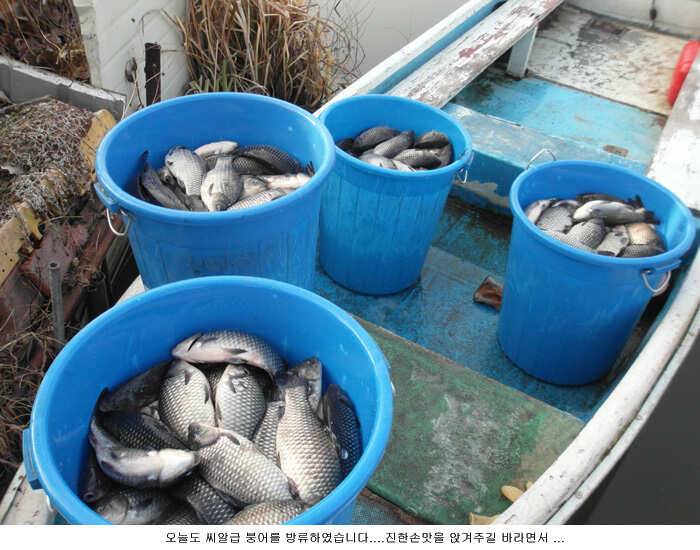 3월 첮주말 방류와함께 (유료터정보 - 유료터점주조황)