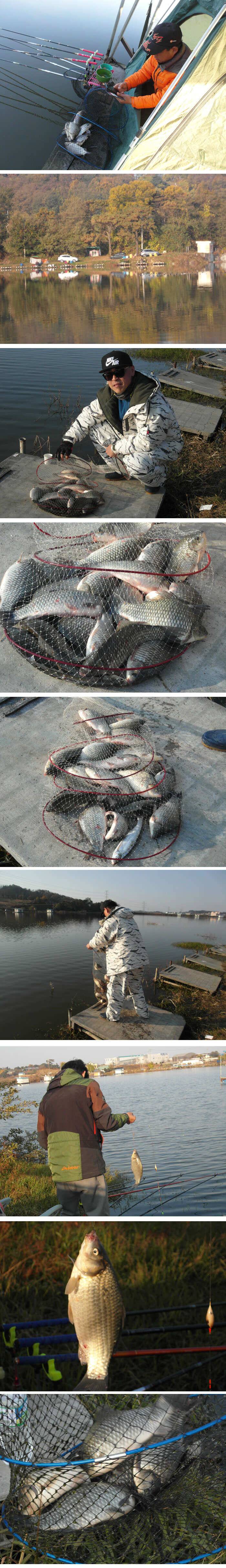 많이 쌀쌀해진 날씨 11월 첫째주말 신봉지 조황정보 (유료터정보 - 유료터점주조황)