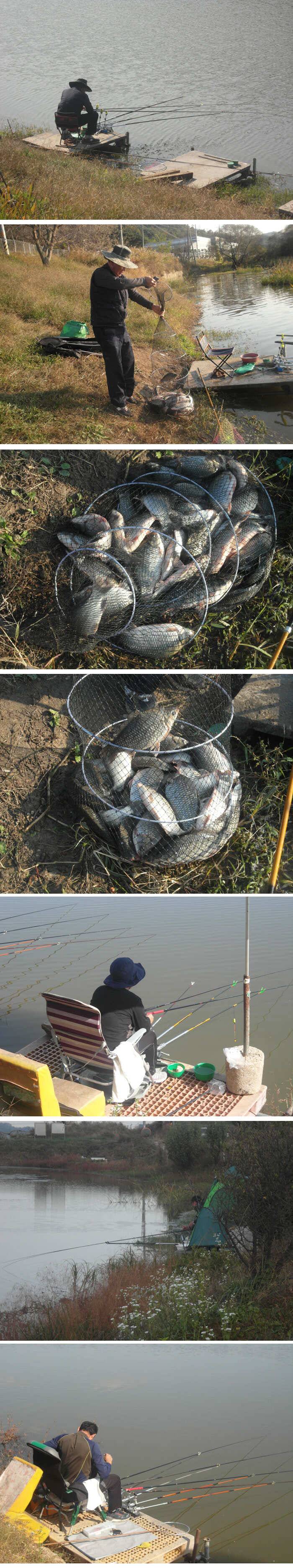 신봉지갈수록 좋아지는 입질주말이 기대 됩니다 (유료터정보 - 유료터점주조황)