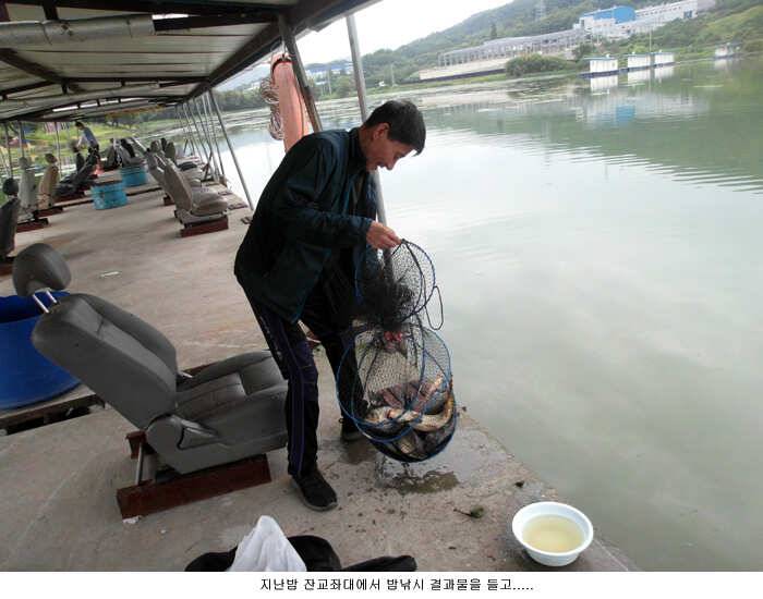 밤낚시가 정답입니다 (유료터정보 - 유료터점주조황)