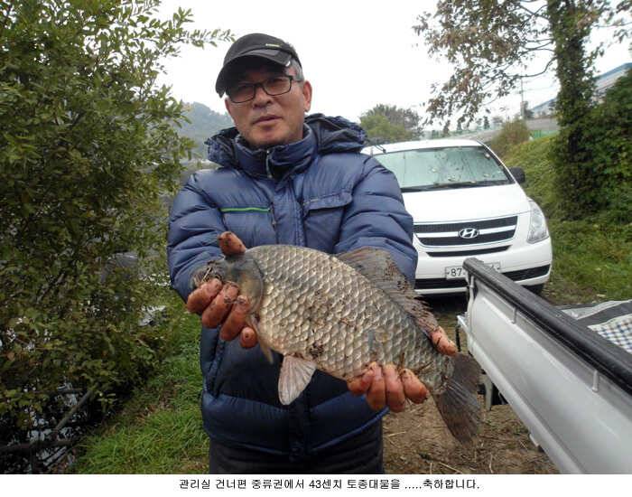 4243토종 월척이 밤낚시에 (유료터정보 - 유료터점주조황)