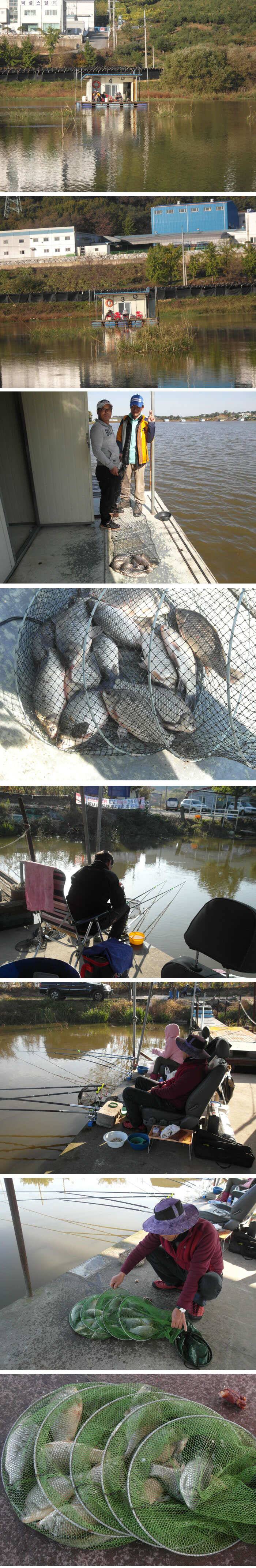 낮에는 반팔밤에는 파카신봉지 주말조황정보 (유료터정보 - 유료터점주조황)