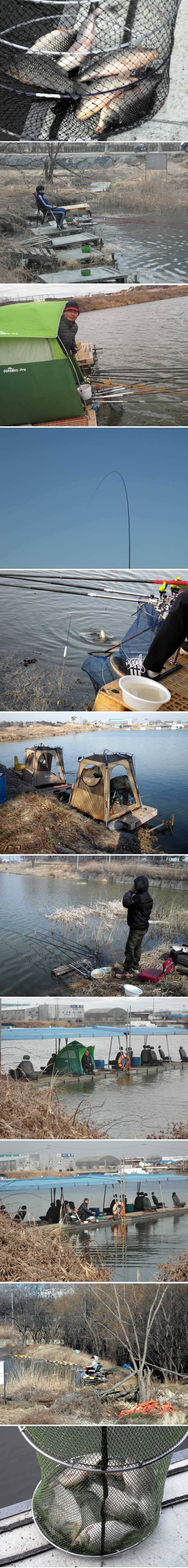 추워도 붕어는 나옵니다 (유료터정보 - 유료터점주조황)