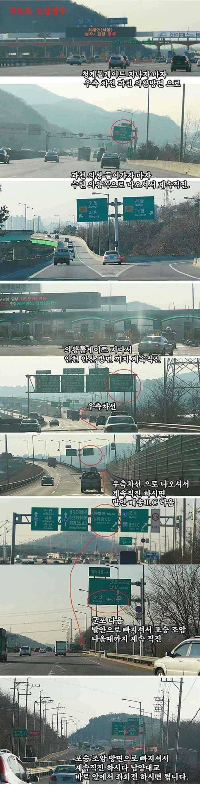 토종붕어 왕대박 입질행진 (유료터정보 - 유료터점주조황)