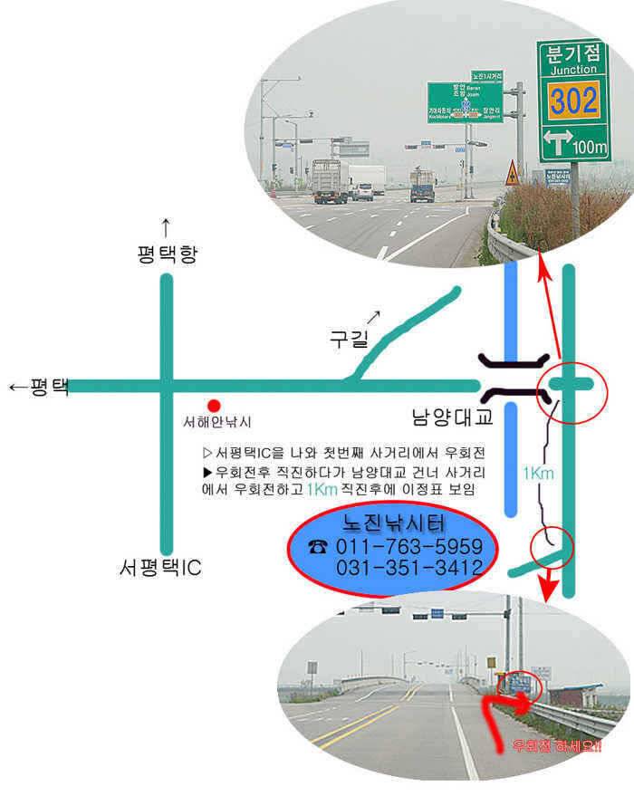 노진낚시터 드뎌 3월28일 개장 합니다 (유료터정보 - 유료터점주조황)