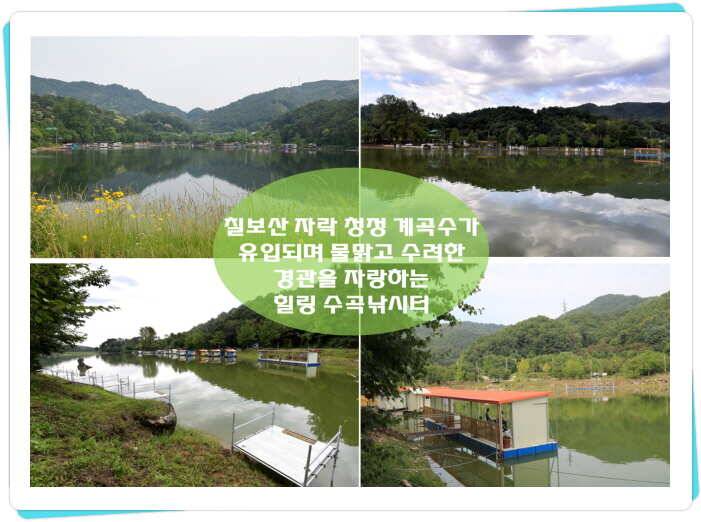 양평 수곡낚시터 10월 둘째주 주말 조황 안내 (유료터정보 - 유료터점주조황)
