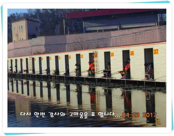 도심속의 작은 쉼터 화성 관리 낚시터입니다 (유료터정보 - 유료터점주조황)