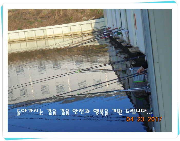 도심속의 작은 쉼터 화성 관리 낚시터입니다 (유료터정보 - 유료터점주조황)