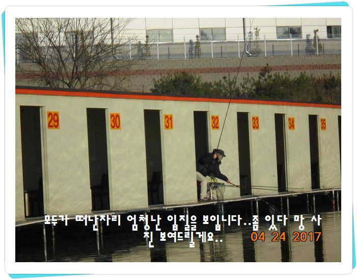 도심속의 작은 쉼터 화성 관리 낚시터입니다 (유료터정보 - 유료터점주조황)