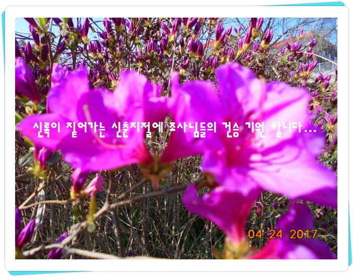 도심속의 작은 쉼터 화성 관리 낚시터입니다 (유료터정보 - 유료터점주조황)